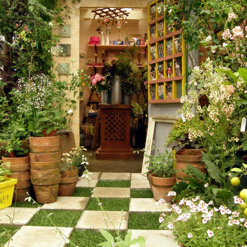 完全ガイド 四国地方で胡蝶蘭を買うなら おすすめ生産者とショップ ひとはなノート