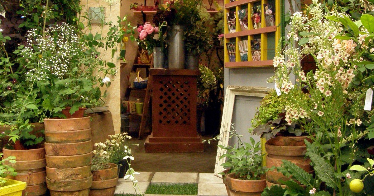 完全ガイド 四国地方で胡蝶蘭を買うなら おすすめ生産者とショップ ひとはなノート