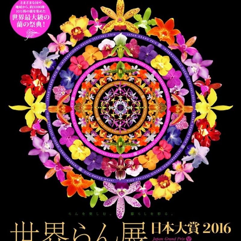 2016年世界らん展で大賞を獲ったお花とは？ | ひとはなノート