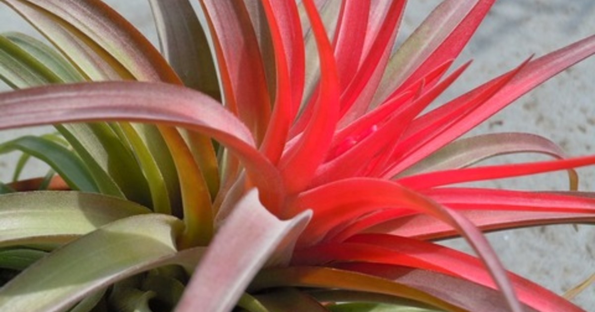 6c622d6c-s.jpg?1478673073