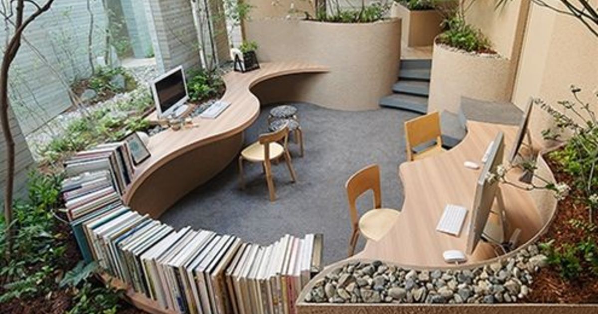 起業の門出を観葉植物で祝福する 厳選3つご紹介 花言葉を添えて ひとはなノート