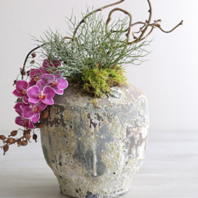 Atlantis(アトランティス)は海底遺跡のようなアンティーク感が魅力の鉢