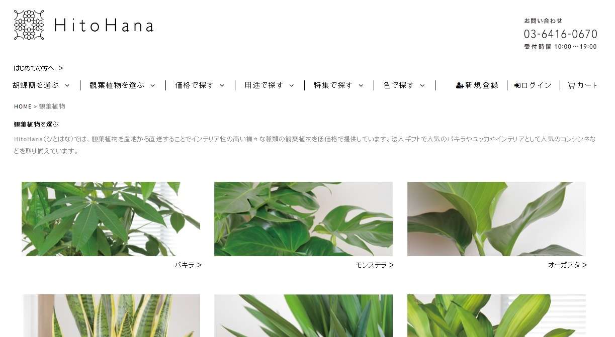 Hitohana green