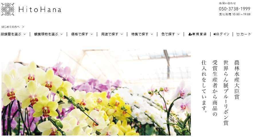 Hitohana