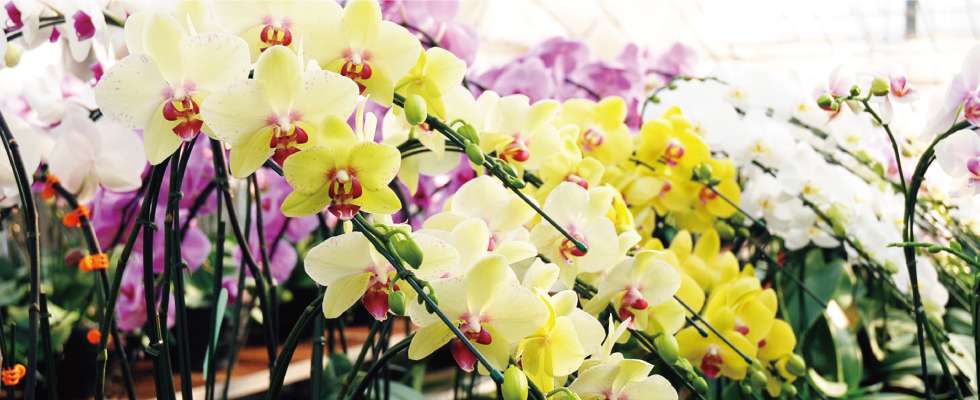 Mothersday 4 73f399019e0a5b26cf1a58cf69073f4b69c08c201e43aaae321281acd60a62bc