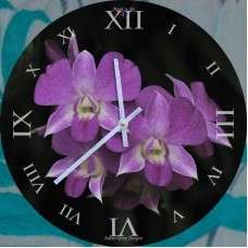 Fc 033 purple phaloenopsis orchid 228x228