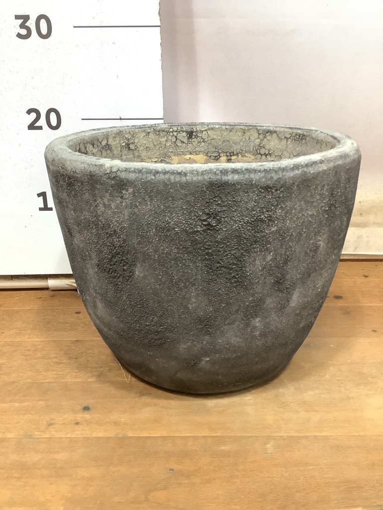 シルバー グレビレア アイバンホー 根付き鉢物大株 高さ1.3m 8号鉢 鉢カバー アビスソニア ミドル 6号鉢用 灰 #KONTON AB-S01H10E