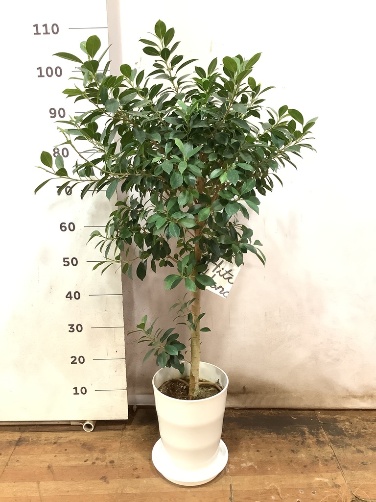 32602361-a13d-4965-8f7e-