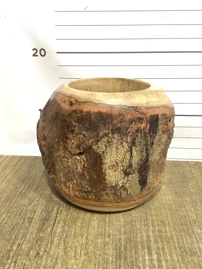 マンゴーウッド　大皿　パーティー　サラダ皿　鉢植　観葉植物 鉢カバー・Mango Wood(マンゴーウッド) | 鉢カバーの通販なら
