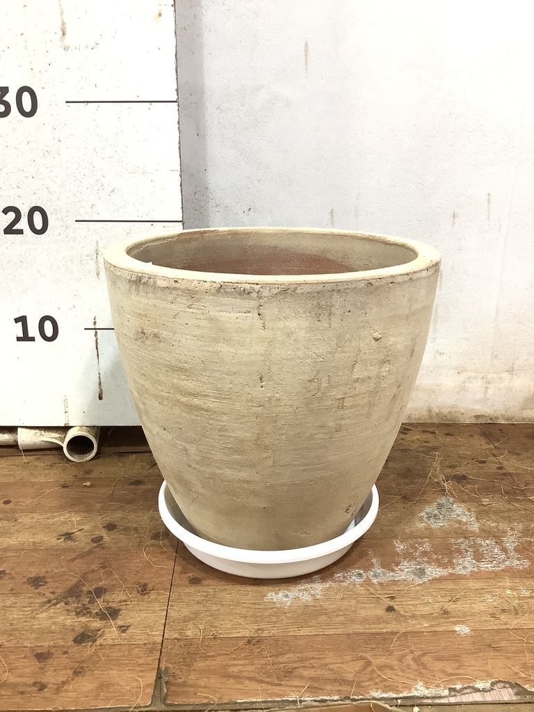 Acq鉢　acqpot のパンサーnタイガー Acq鉢 acqpot のパンサーnタイガー Acq鉢 acqpot のパンサーnタイガー