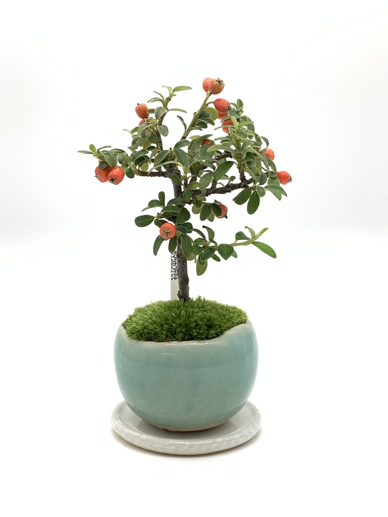 0c73483a-fa88-4515-af7e-