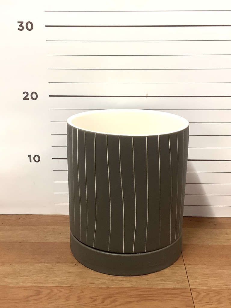 木鉢 12937349_s_1000.jpg