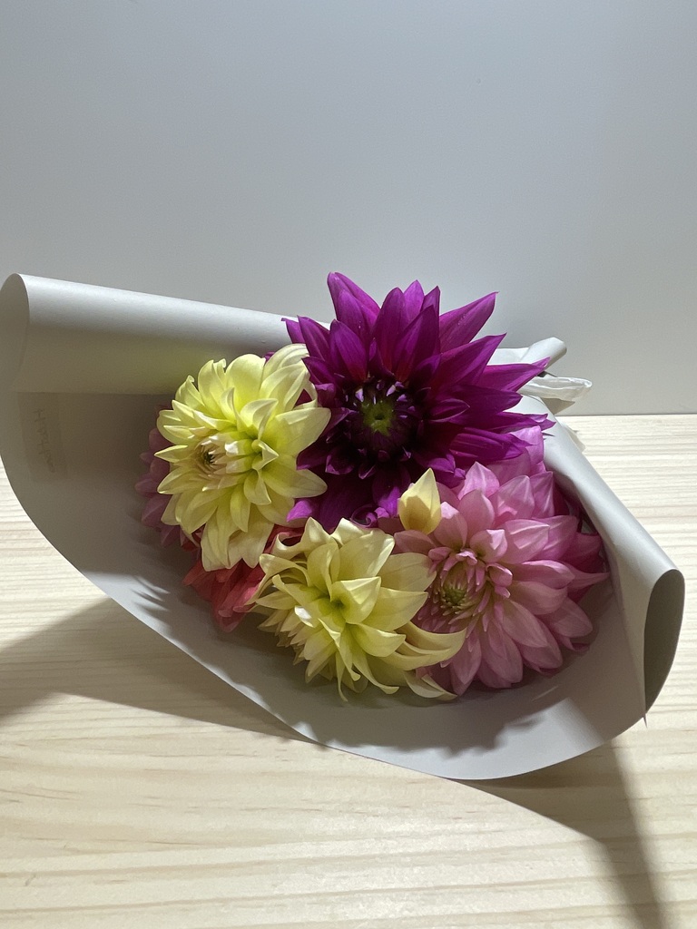 バラとダリアとピオニーの華やか豪華特大リース♪❀ボリュームタイプ❀ 今年の予約販売始まります。 高級ダリア!! 色・品種お任せ