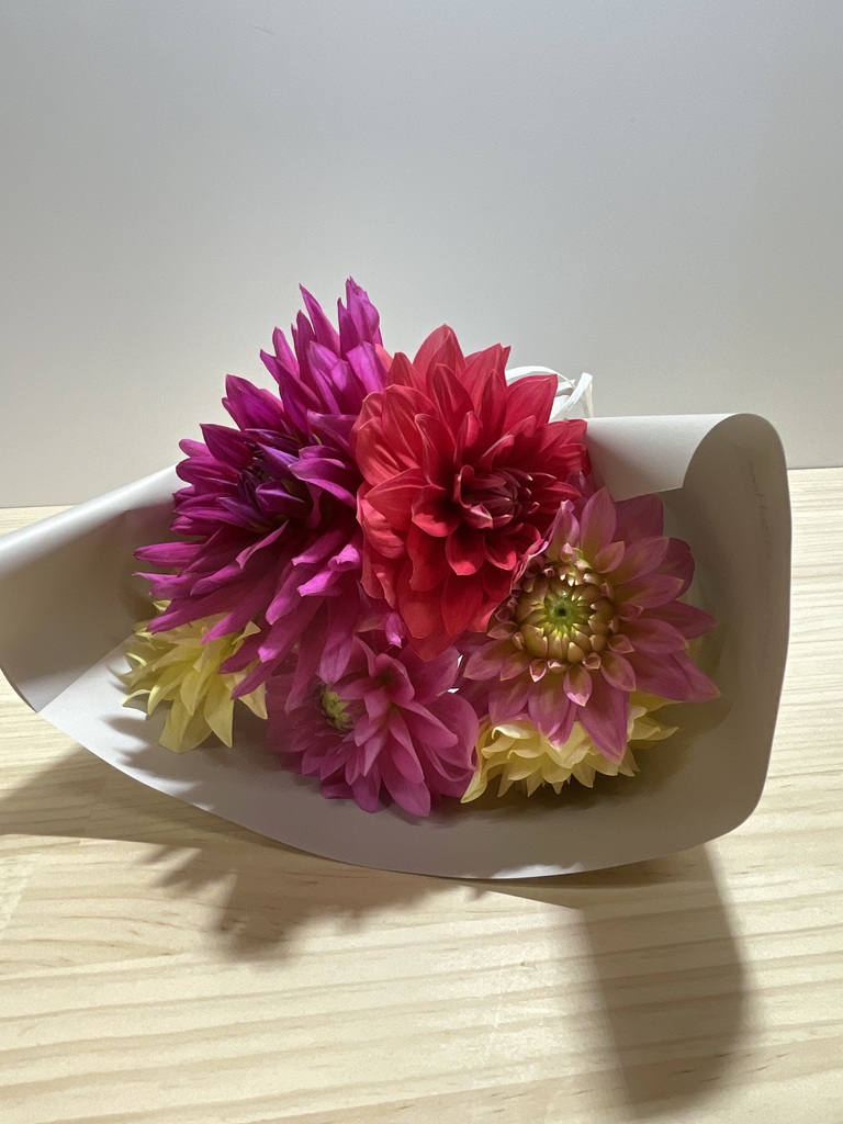 バラとダリアとピオニーの華やか豪華特大リース♪❀ボリュームタイプ❀ 産地直送 ダリア 花束 ミックス（6本入り）／山形 THeFarmからお