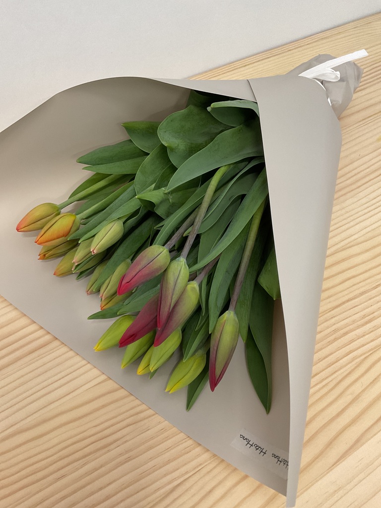 チューリップのギフト | お花の通販HitoHana（ひとはな）