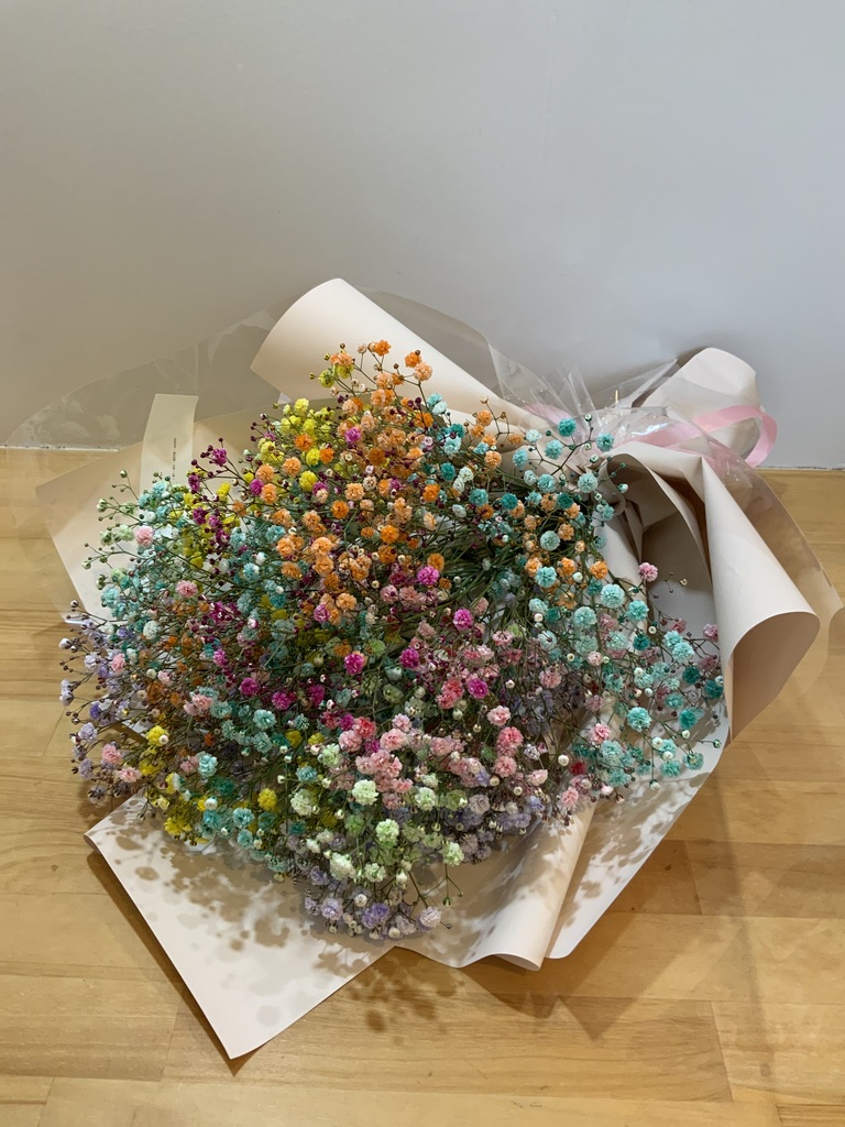 ds-ozk-gypsophila-13_0001.jpg?