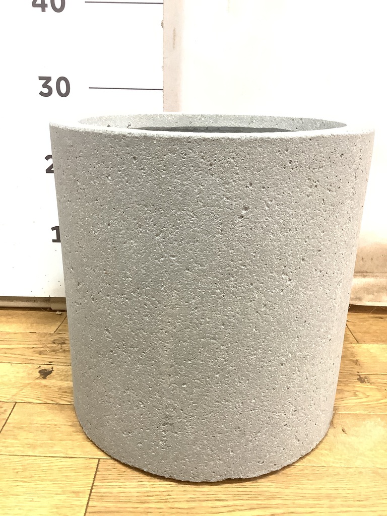 小鉢 楽天市場】【現品】サボテン・兜丸/スーパー兜 3号 黒鉢【選べる