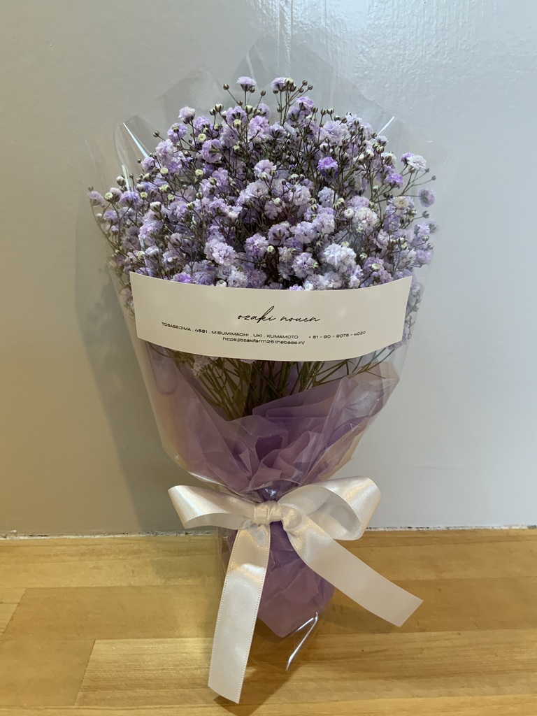 かすみ草 様♡ 産地直送 かすみ草 花束 パステルパープル ／熊本