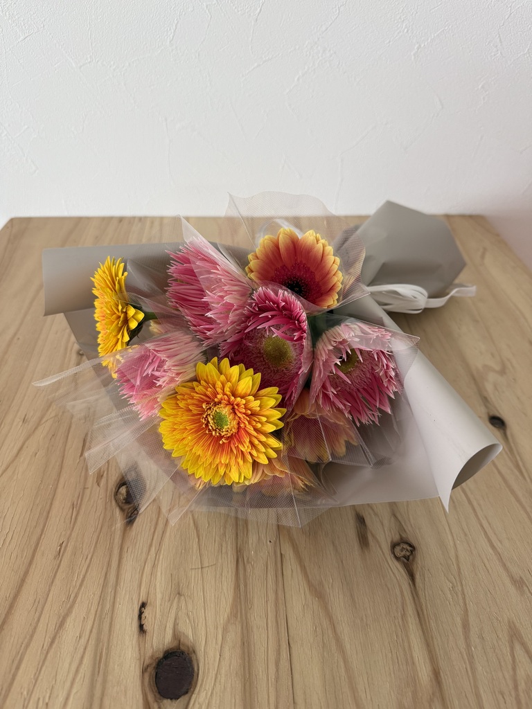 産地直送 ガーベラ ミックス 15本束／静岡 松下園芸からお届け