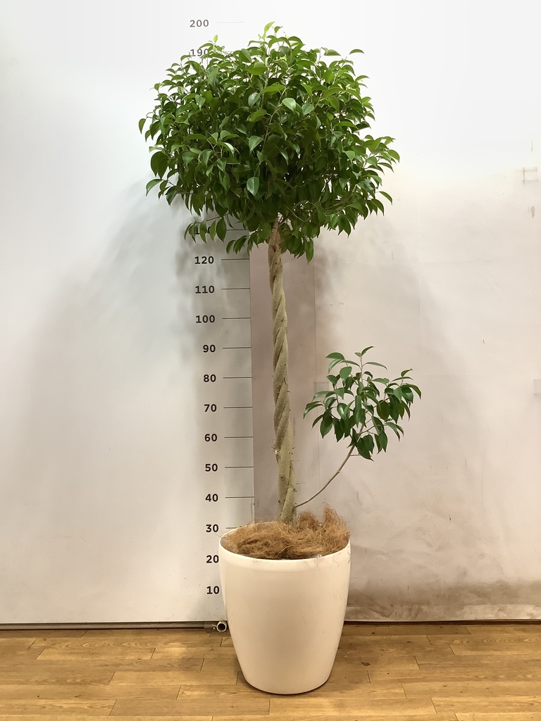 b793be42-ed9d-4d0d-a081-