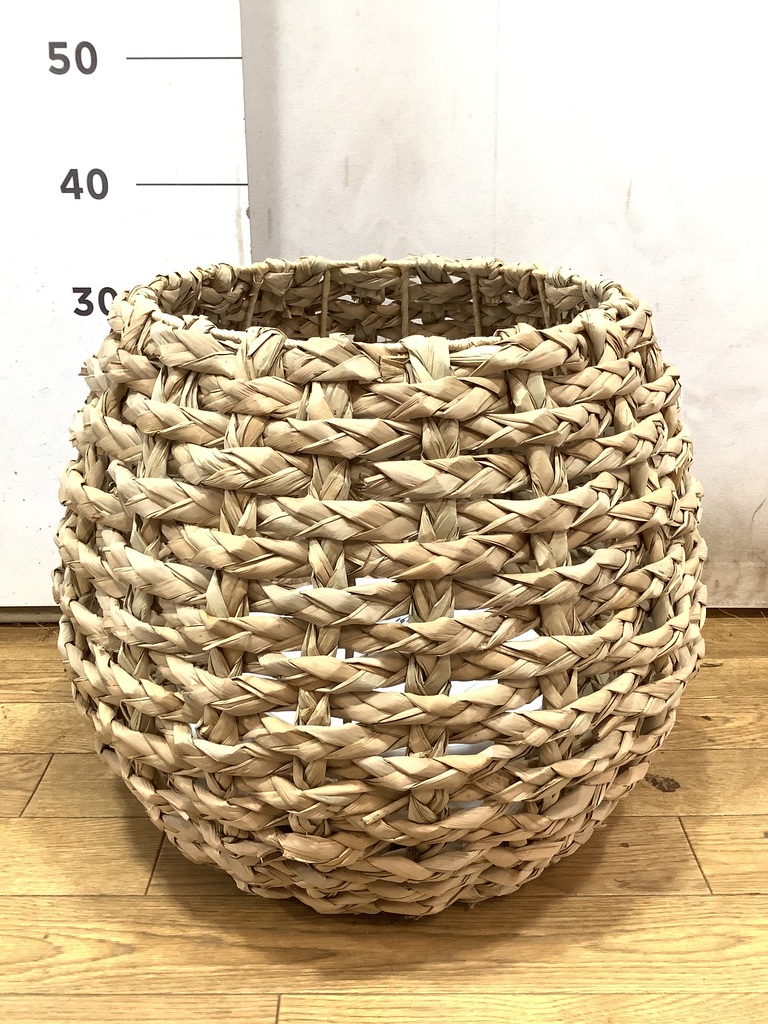 【haru plants】速達 51DWZFMilcL._UF894,1000_QL80_.jpg