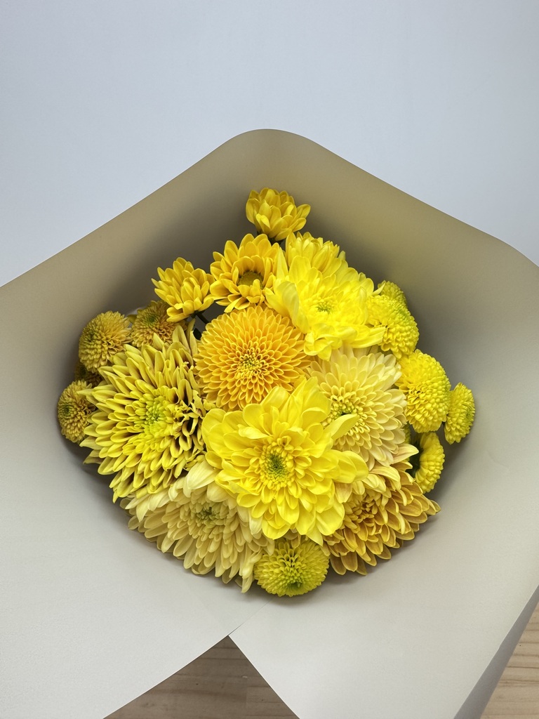 産地直送 マム花束 ミックス S（10本入り）／宮城 白鳥さんからお届け