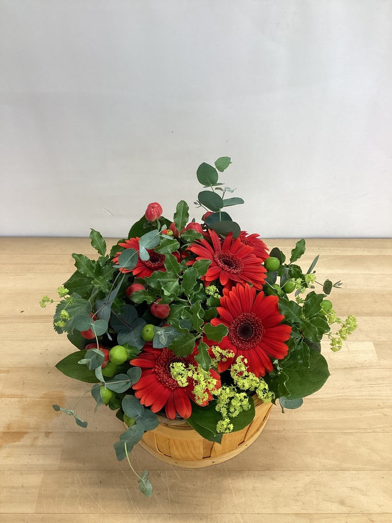 ガーベラ アレンジメント レッド SS ラウンドバスケット