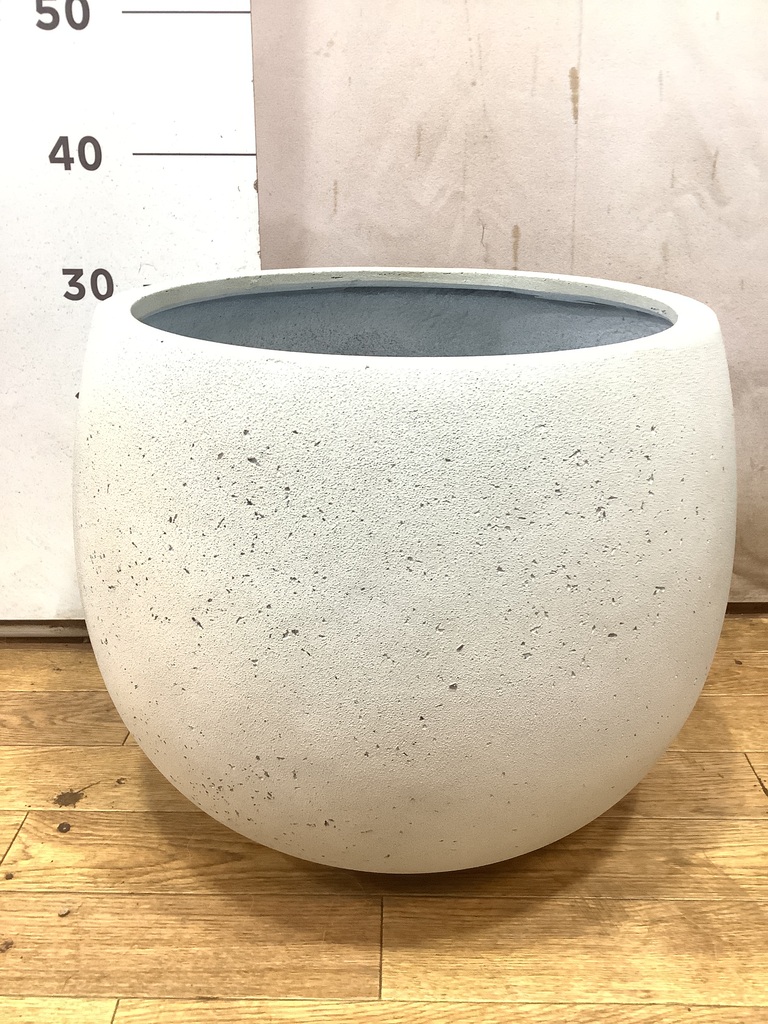 大鉢 imgrc0098475983.jpg