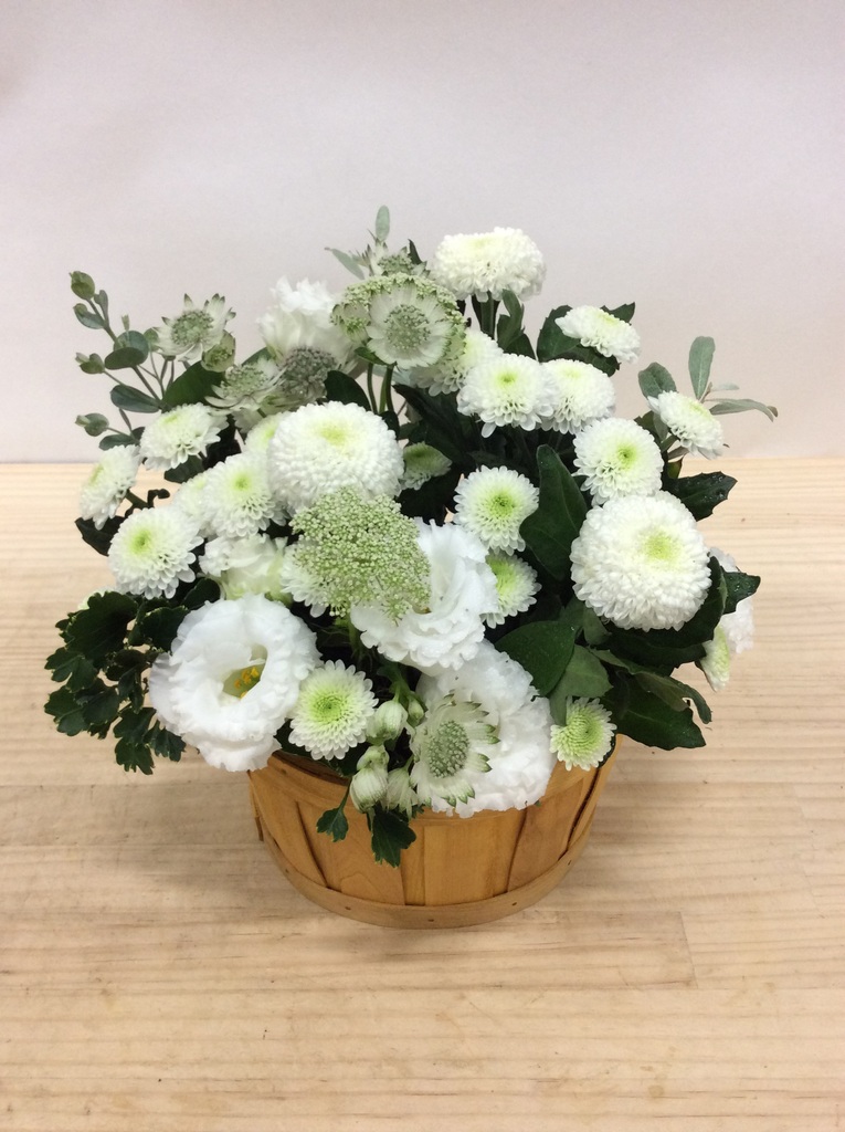 マム（菊）のアレンジメント | フラワーギフトならHitoHana（ひとはな）