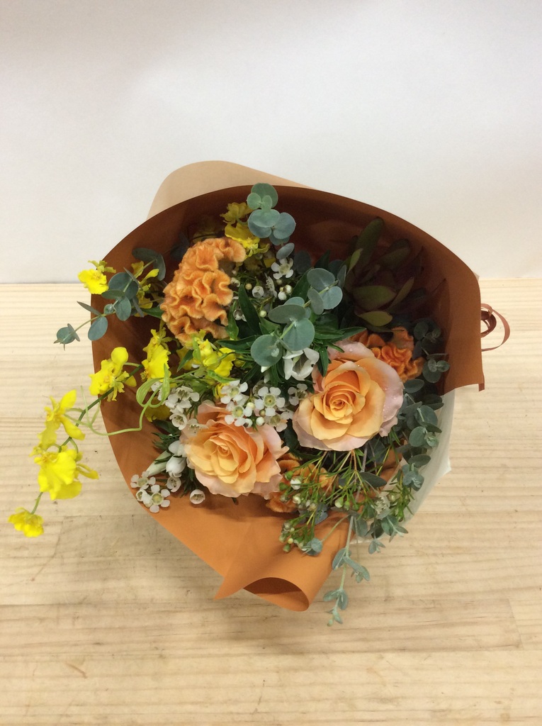 在庫写真 バラ売り可 image.jpg