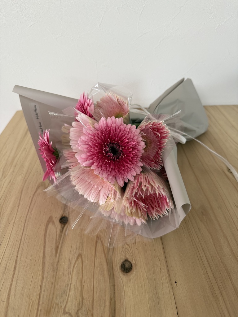産地直送 ガーベラ ピンク 15本束／静岡 松下園芸からお届け | 花束
