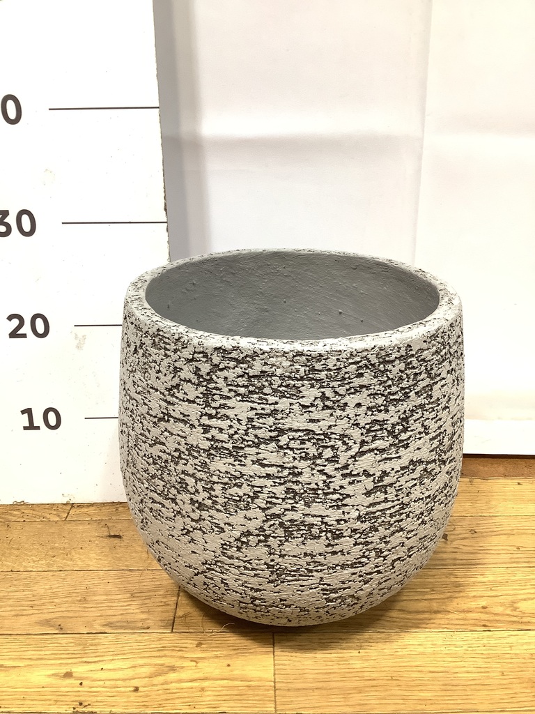 Top【選抜株】多肉植物　24785スノー　ラバー 48個　鉢無し/脱土 素朴でレトロな鉢カバー｜WEBコラム｜商品案内｜杉田エース株式会社