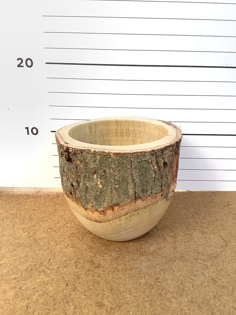 【stem】マンゴーウッド ボウル MEDIUM 木製プランター 鉢カバー 鉢カバー Mango Wood(マンゴーウッド) フラワーベース 3号鉢用 #stem