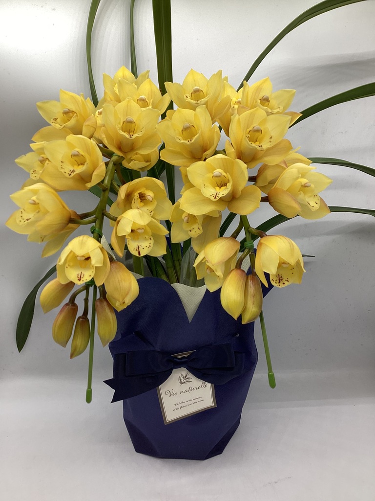 鉢植えのお花 | HitoHana（ひとはな）