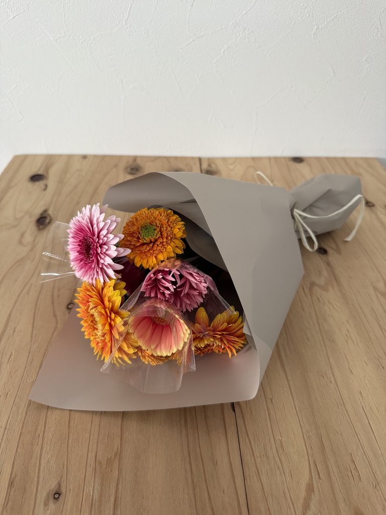 産地直送 ガーベラ 花束 ブラウンミックス(15本) ／静岡 松下園芸から