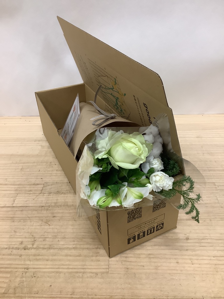 在庫写真 バラ売り可 000000000127_eaqRfoj.png