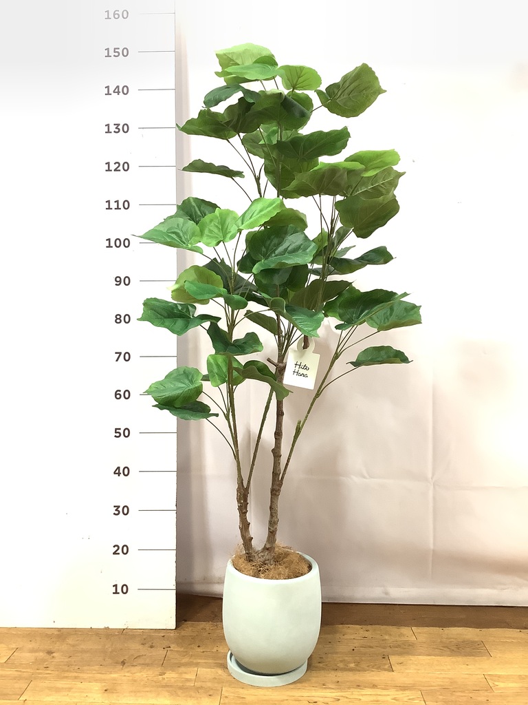 観葉植物【フェイクグリーン】ウンベラータ 120cm アイルエッグ グレー