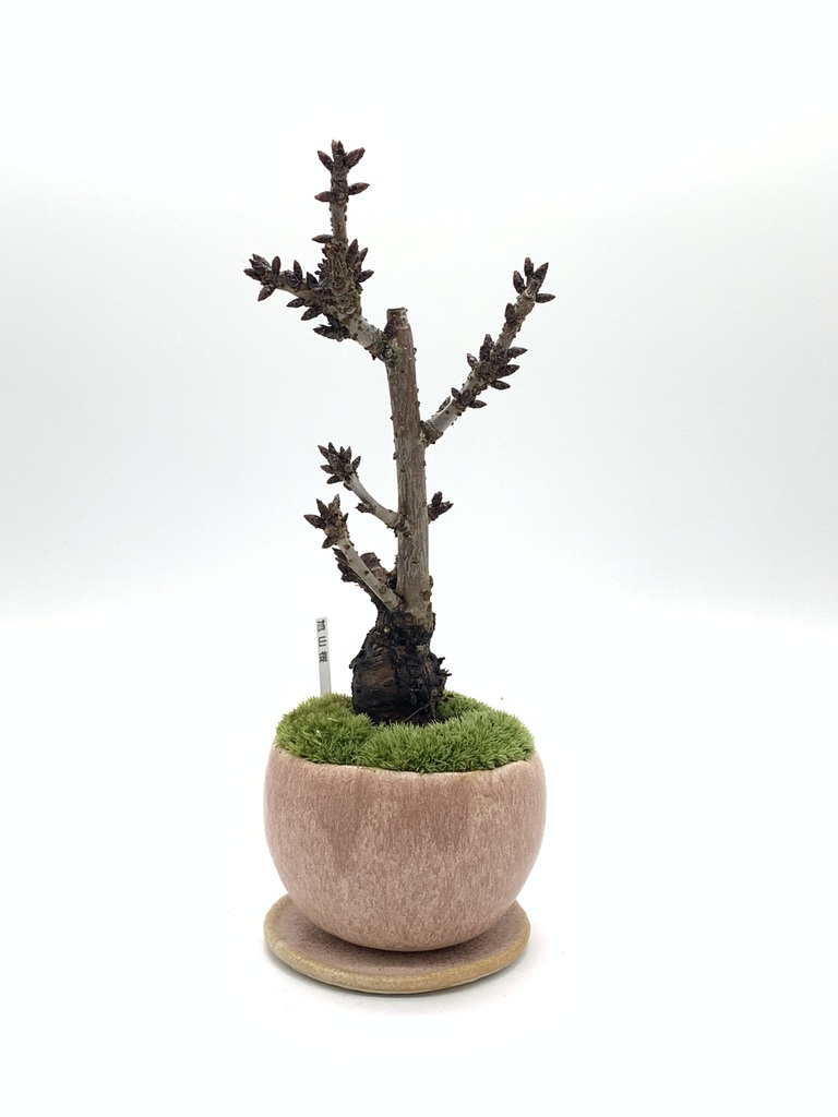 f24911cd-7e08-4792-98b4-