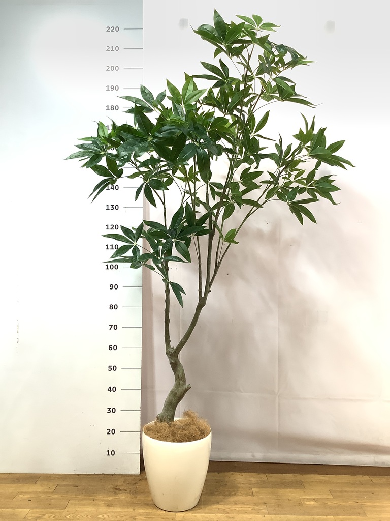 観葉植物【フェイクグリーン】パキラ 180cm ラスターポット 付き
