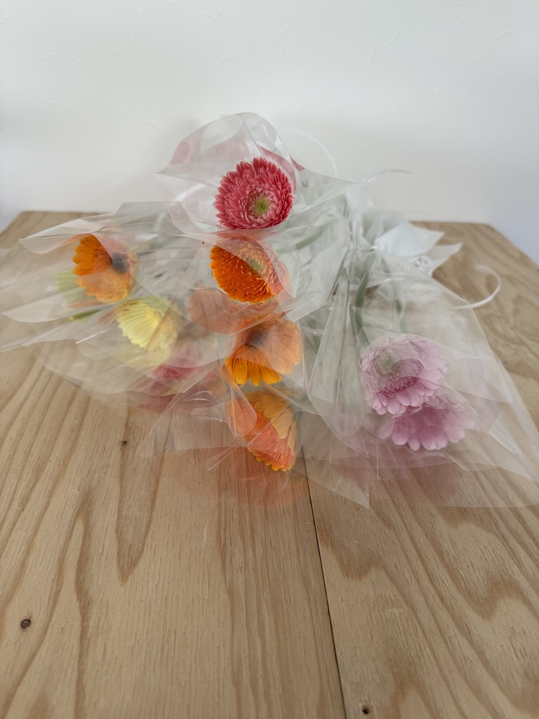 一輪（一本巻）の花束 | HitoHana（ひとはな）