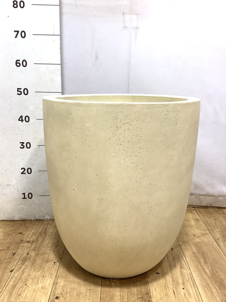 幹立　プヤ　アルペストリス　4頭　10号鉢 楽天市場】【現品】プヤ・アルペストリス 12号鉢植え【産直】 : 千草園芸