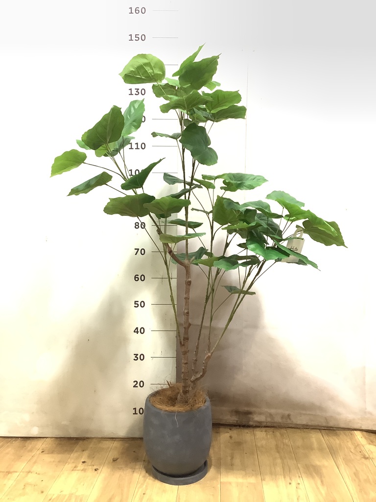 フェイクグリーン 30cm～ | 通販専門店 HitoHana（ひとはな）