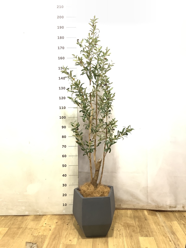 フェイクグリーン フェイクグリーン 30cm～ | 通販専門店 HitoHana（ひとはな）