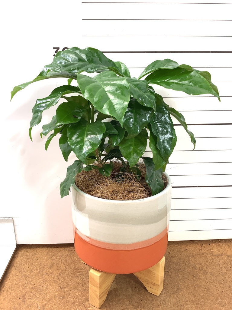 スタンド・脚付きの鉢カバー | 通販専門店 HitoHana（ひとはな）