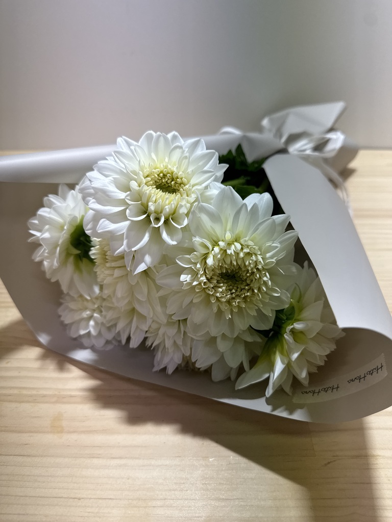 ダリアの花束・ブーケ | 花束ならHitoHana（ひとはな）
