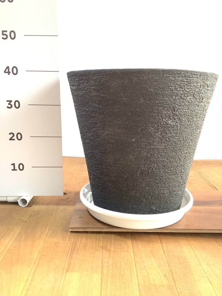 ポポ　パキポン　ヒビ鉢　グラゴイル　計8000円 ヒロコーデックス | パキポディウム グラキリス @310.7014 3D