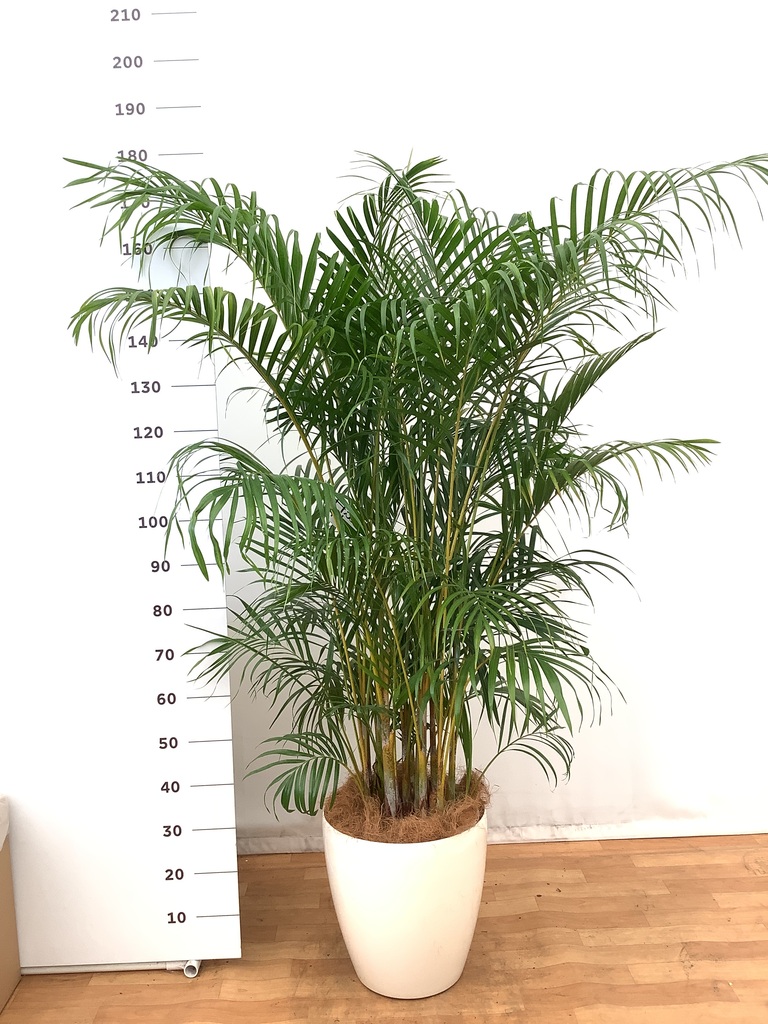 fa505146-1d07-4a82-a7db-