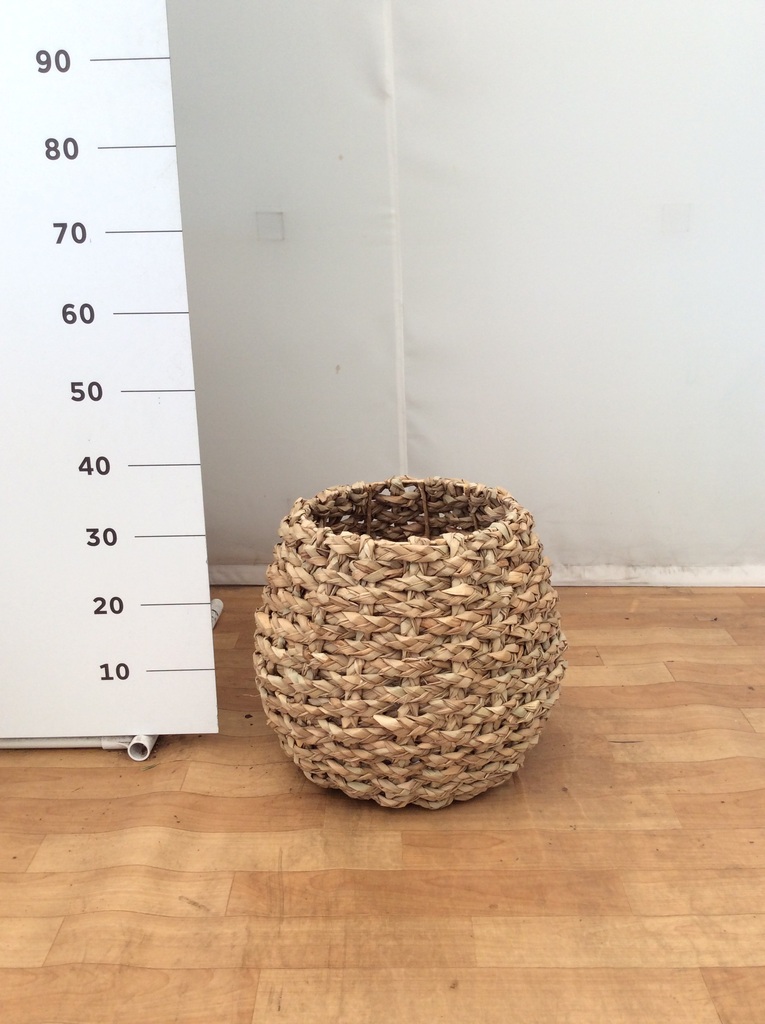 鉢カバー LushBasket（ラッシュバスケット） 8号鉢用 Natural #stem