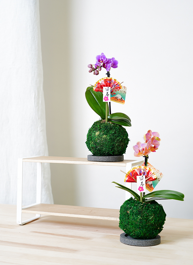 陶器 和柄 花器  苔玉 プランター  植物  蚤の市 小物入れ レト 陶器 和柄 花器 苔玉 プランター 植物 蚤の市 小物入れ レトの