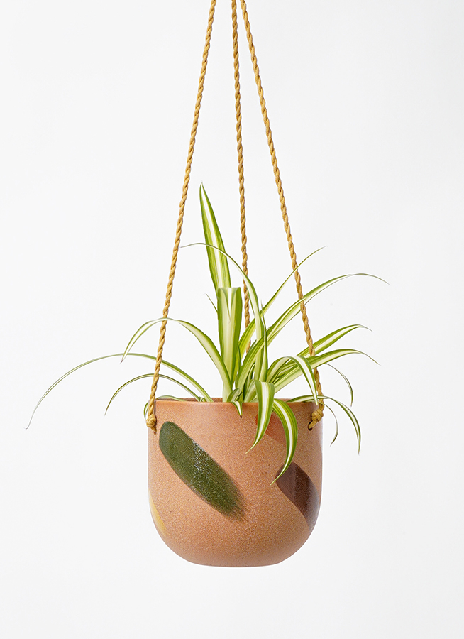観葉植物 オリヅルラン 3号 カーリン ハンギング 15 Y 付き | 観葉植物